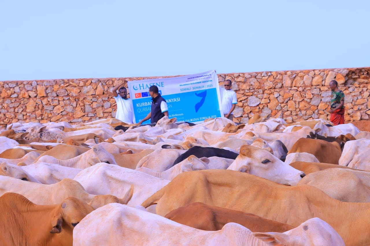 Qurban images Image 17